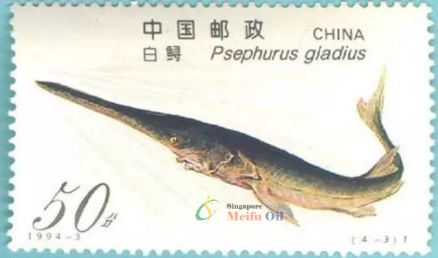 長(zhǎng)江白鱘給人類(lèi)的一封告別信